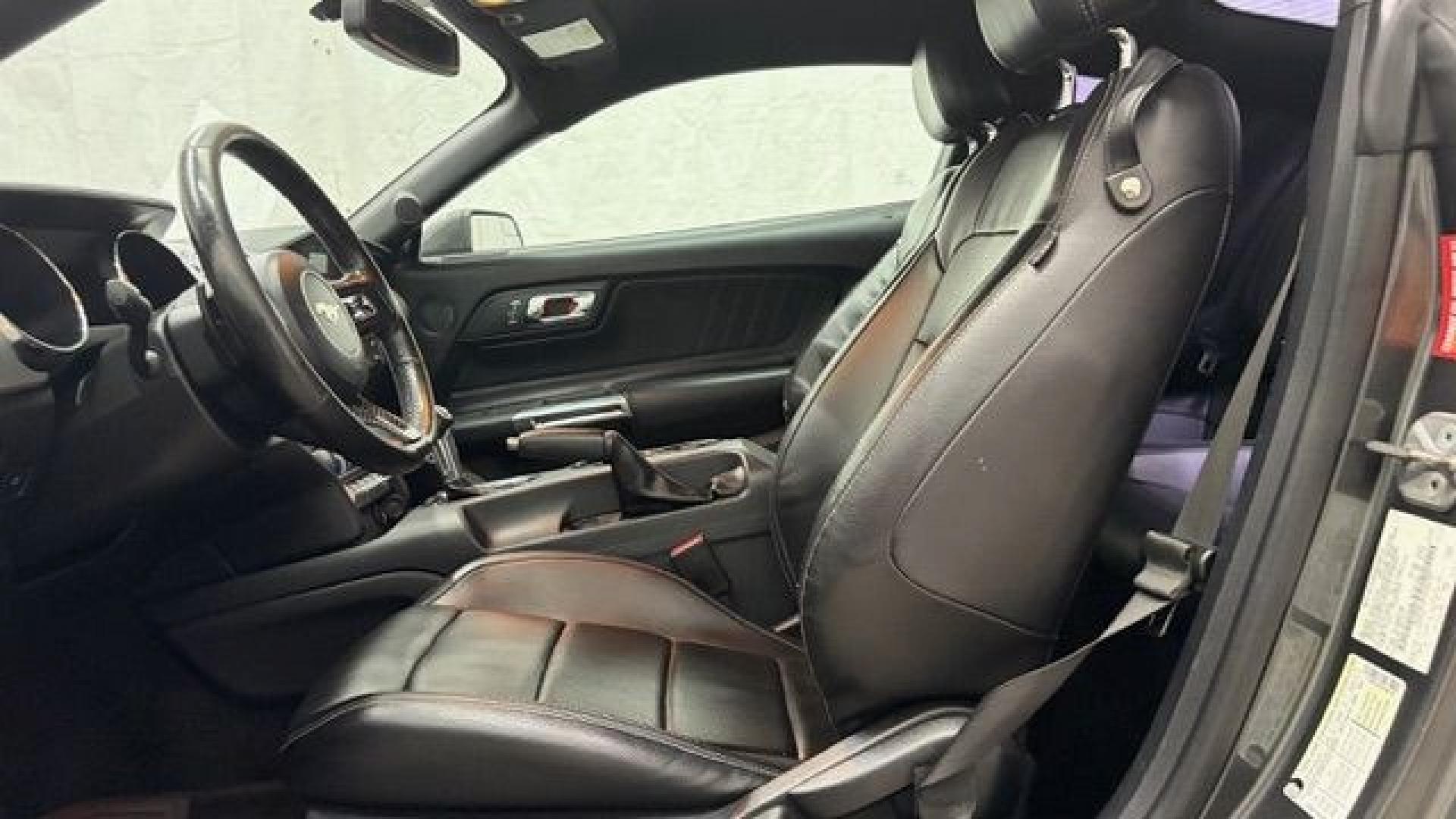 2017 Gray Ford Mustang EcoBoost (1FA6P8TH0H5) with an EcoBoost 2.3L I-4 gasoline direct injection engine, located at 1806 Veterans Memorial Hwy SW, Austell, GA, 30168, (770) 944-9558, 33.817959, -84.606987 - Why Choose Automania? At Automania, we make car buying easy and stress-free, with over 20 years serving Austell, GA and the surrounding communities. WE FINANCE GOOD AND NOT SO GOOD CREDIT, we work with all credit types, and every vehicle comes with a free vehicle history report so you know its backg- Photo#11