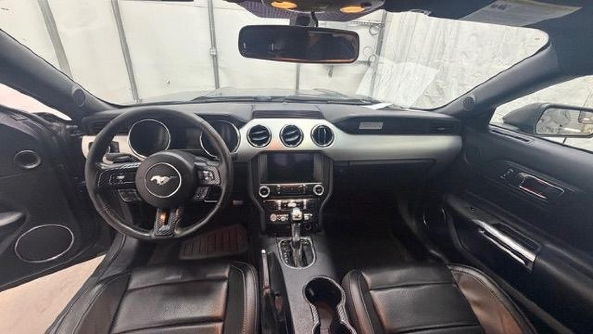 2017 Gray Ford Mustang EcoBoost (1FA6P8TH0H5) with an EcoBoost 2.3L I-4 gasoline direct injection engine, located at 1806 Veterans Memorial Hwy SW, Austell, GA, 30168, (770) 944-9558, 33.817959, -84.606987 - Why Choose Automania? At Automania, we make car buying easy and stress-free, with over 20 years serving Austell, GA and the surrounding communities. WE FINANCE GOOD AND NOT SO GOOD CREDIT, we work with all credit types, and every vehicle comes with a free vehicle history report so you know its backg- Photo#13